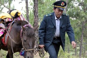 深山信使 深山信使