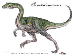 似鳥形龍 似鳥形龍