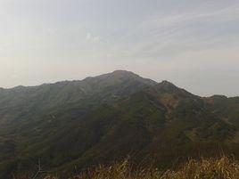 桐山 桐山