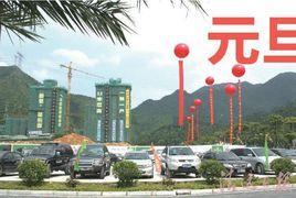 新亞·棕櫚園 新亞·棕櫚園