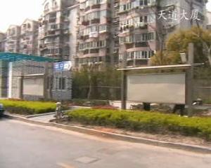 天道儷晶 天道儷晶