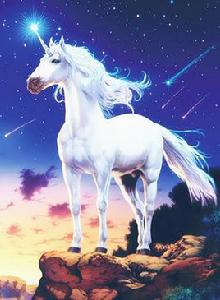 unicorn[動物名]
