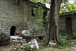 小龍窩村 小龍窩村