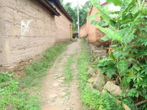 品峰自然村 品峰自然村