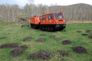 草原遭到鼠類破壞