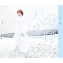 7號登機口 7號登機口