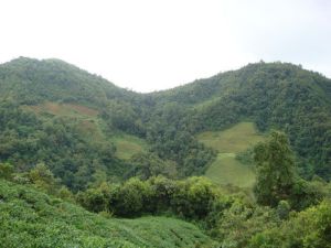 老朱寨自然村 老朱寨自然村