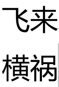 飛來橫禍 飛來橫禍