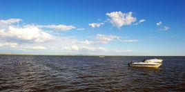 南洞庭湖自然保護區 南洞庭湖自然保護區