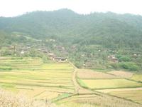 底庫小平壩自然村 底庫小平壩自然村