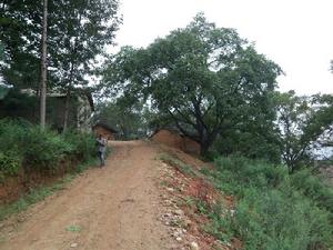 上白來烏村-進村道路
