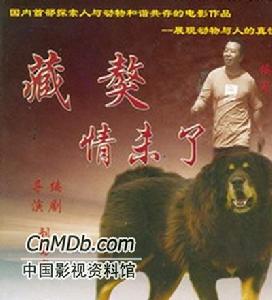 《藏獒情未了》 《藏獒情未了》