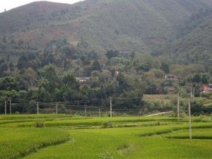 高寨自然村 高寨自然村