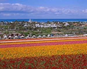 卡爾斯班 卡爾斯班