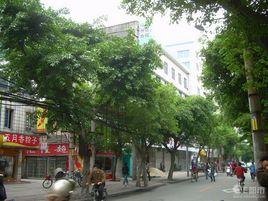 鼓東街道 鼓東街道