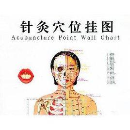 針灸穴位掛圖:女性 針灸穴位掛圖:女性