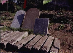 鬼谷嶺國家森林公園