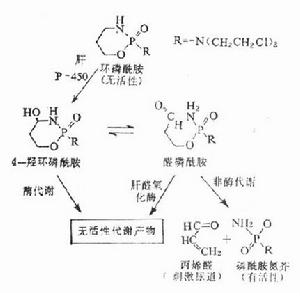 肺出血腎炎綜合徵