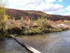 砬子山村 砬子山村