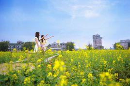 大赤坎村 大赤坎村