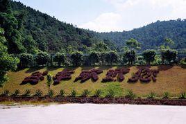 谷豐園旅遊度假山莊 谷豐園旅遊度假山莊