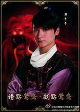 戲點鴛鴦[2014年譚銳銘、寇占文 、周義斌執導的電視劇]