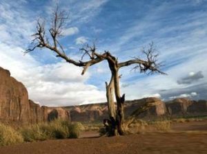 尤卡坦海峽 尤卡坦海峽