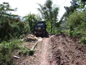 哨房田自然 哨房田自然