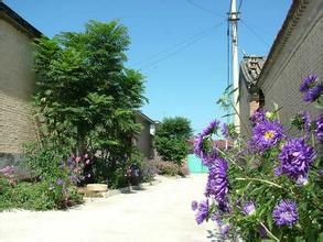 酸棗嶺村 酸棗嶺村