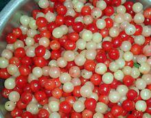 遼寧地區紅、白的毛櫻桃