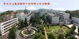 紫光古漢集團股份有限公司 紫光古漢集團股份有限公司