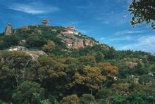黃花山國家森林公園2