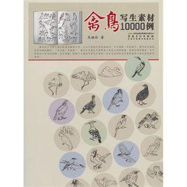禽鳥寫生素材10000例 禽鳥寫生素材10000例