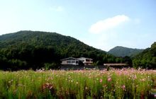 從化石門森林公園 國民旅遊休閒網