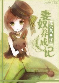 妻奴養成記 妻奴養成記