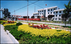 山東省鄒平縣台子鎮 山東省鄒平縣台子鎮