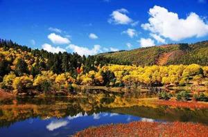 普洱太陽河國家森林公園 普洱太陽河國家森林公園