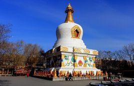 瀋陽北塔法輪寺 瀋陽北塔法輪寺