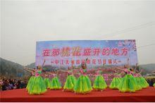 中江太安桃花節開幕儀式