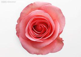 今年流行什麼 今年流行什麼