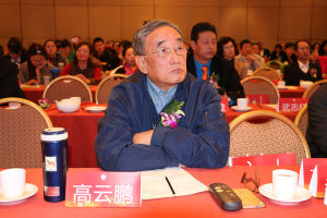 高雲鵬[東北師大中文系副教授]