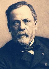 路易斯&middot;巴斯德