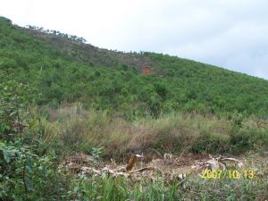 梅園自然村 梅園自然村