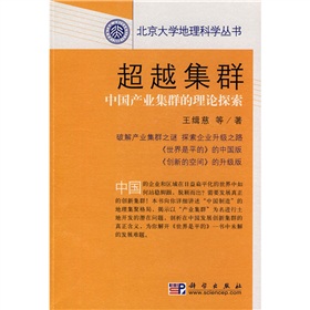 超越集群：中國產業集群的理論探索