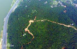 鵝羊山村 鵝羊山村