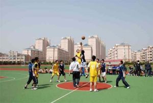 上海市南匯區大團中學 上海市南匯區大團中學