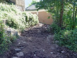 上處可樂村 上處可樂村