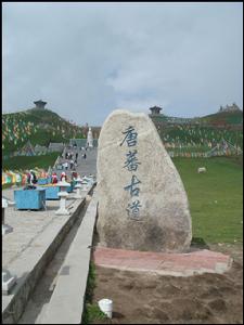 唐蕃古道 唐蕃古道