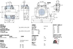 SKF SNL3076-13.15-16LTURT軸承