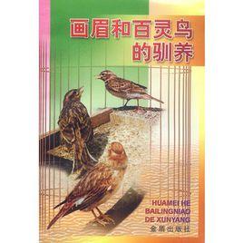 畫眉和百靈鳥的馴養 畫眉和百靈鳥的馴養